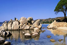 开云体育登录-尼日利亚男篮震撼出击！血洗西班牙国王队，西蒙斯爆发天神技艺